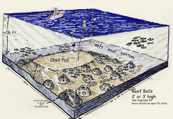 ReefSketchMergeEmail[1]